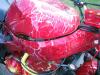 Klik for at vise a9_photo_55_t1.jpg